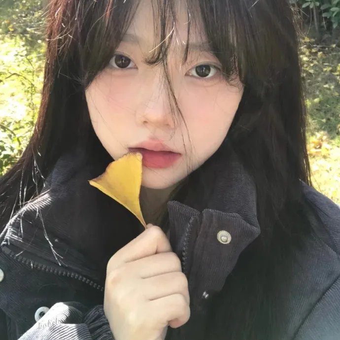 凤凰城故事